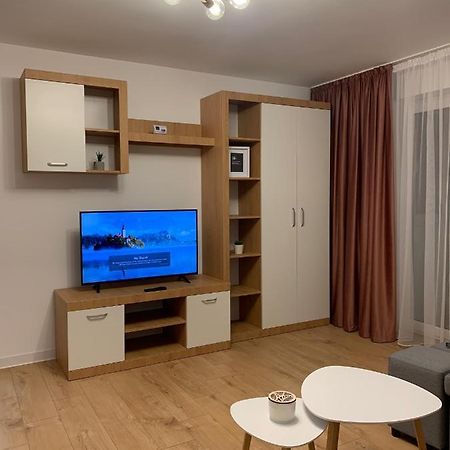 Sunny Apartment In Suceava Ngoại thất bức ảnh